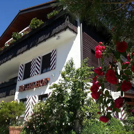 Hotel Engelhof 3*