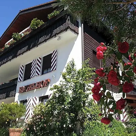Hotel Engelhof 3*